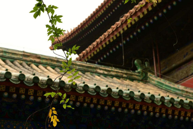 中国古建筑中的禅意文化