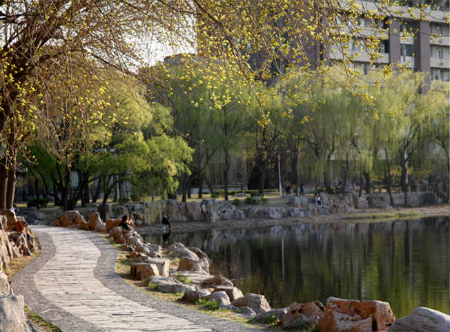 天津大学建筑工程学院