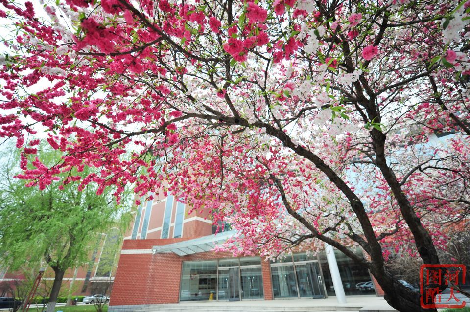 河北大学建筑工程学院