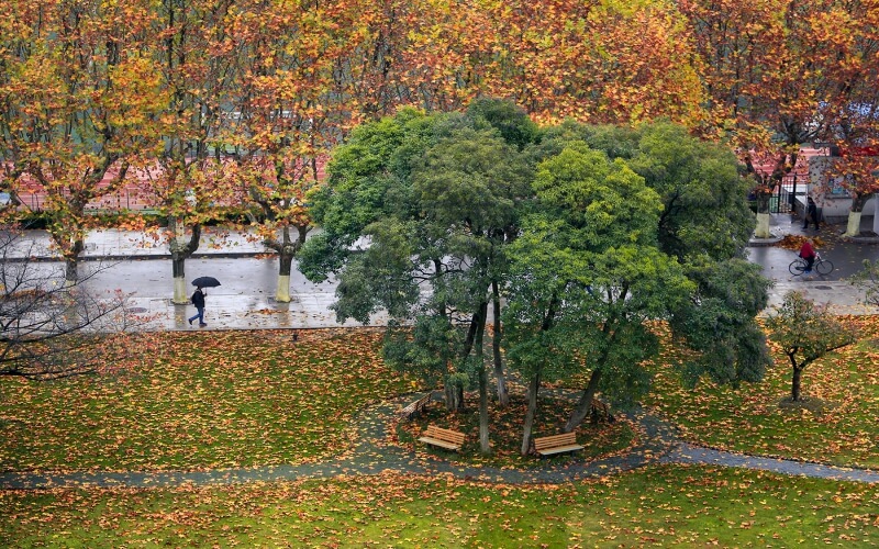 江苏科技大学土木工程与建筑学院