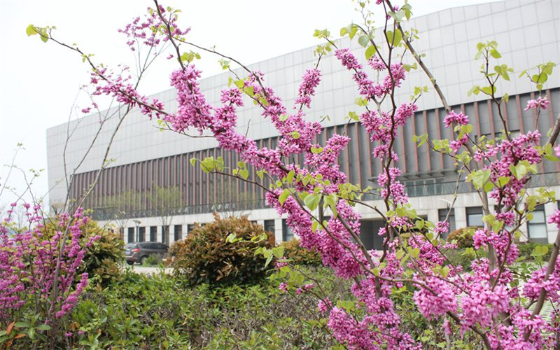 合肥学院城市建设与交通学院建