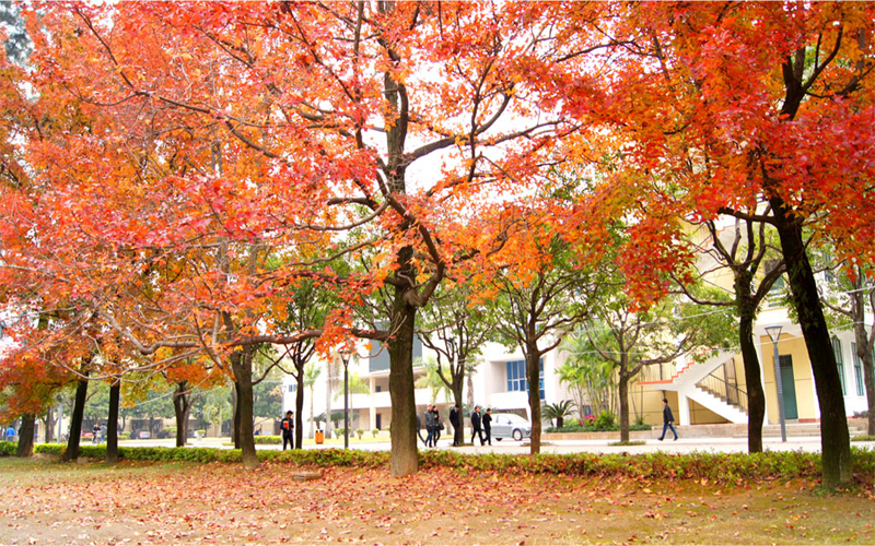 福州大学建筑与城乡规划学院