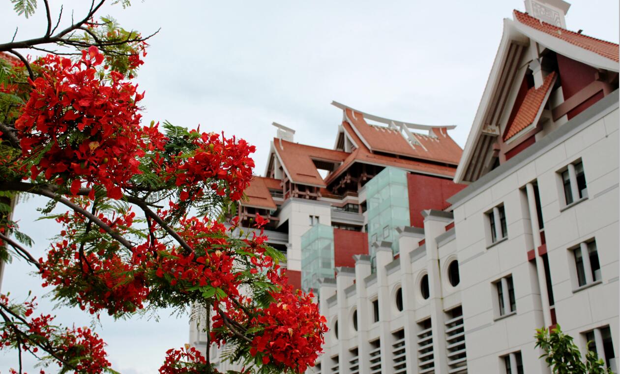 厦门大学嘉庚学院建筑学院