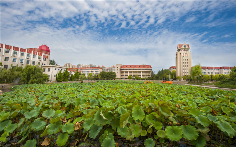 烟台大学土木工程学院