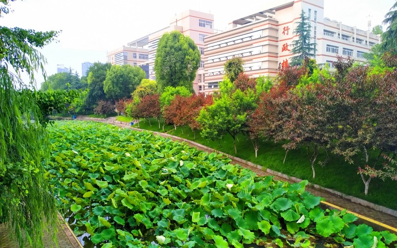 三峡大学土木与建筑学院