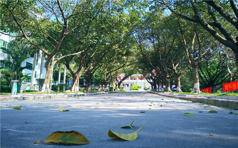 广州松田职业学院艺术与建筑学院