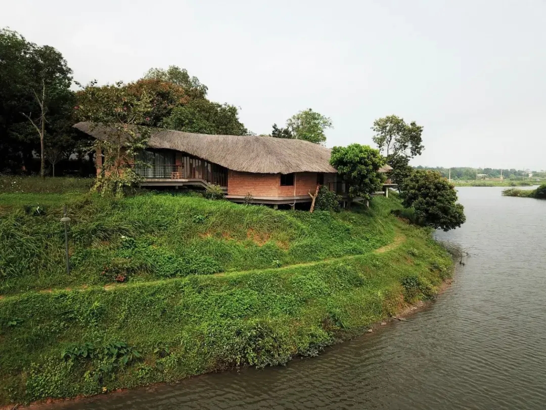 越南河岸架空住宅，能防潮的茅草制建筑