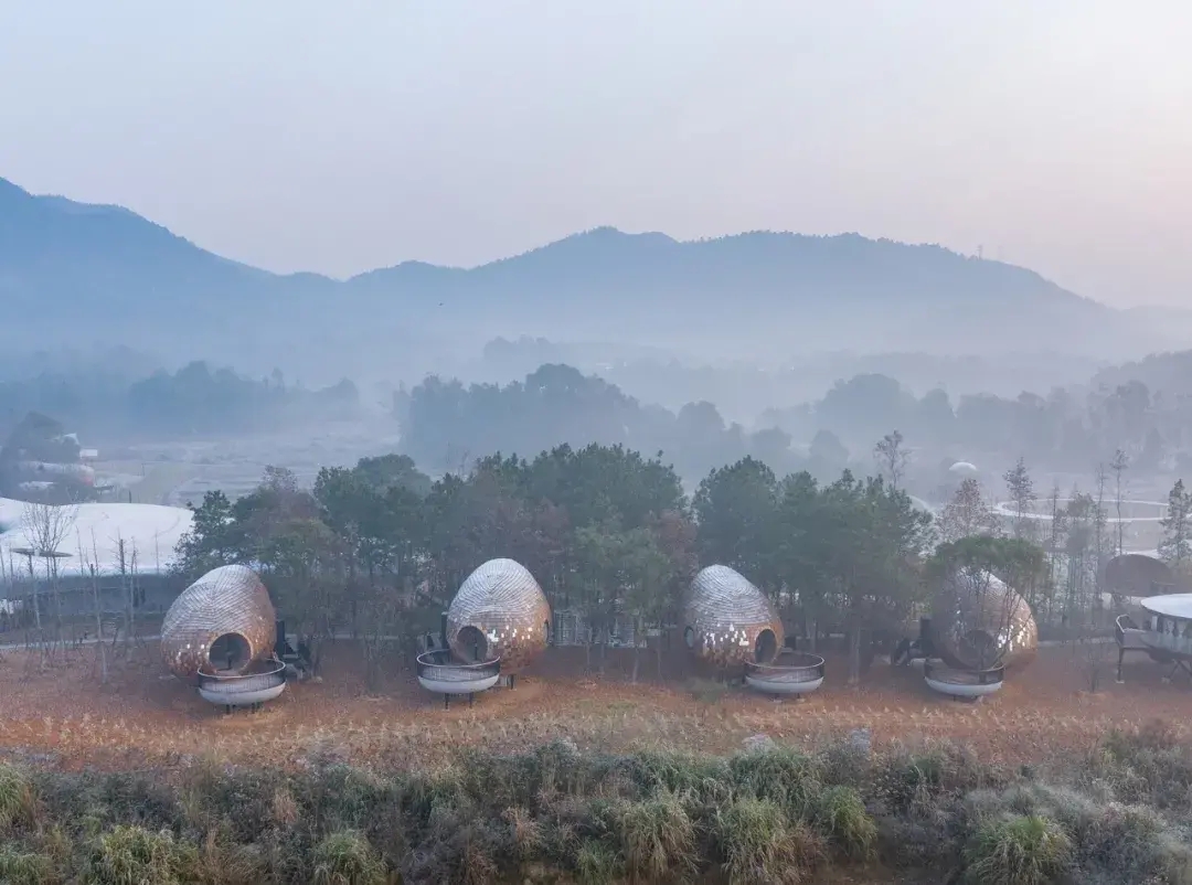 拟态建筑，种子木屋