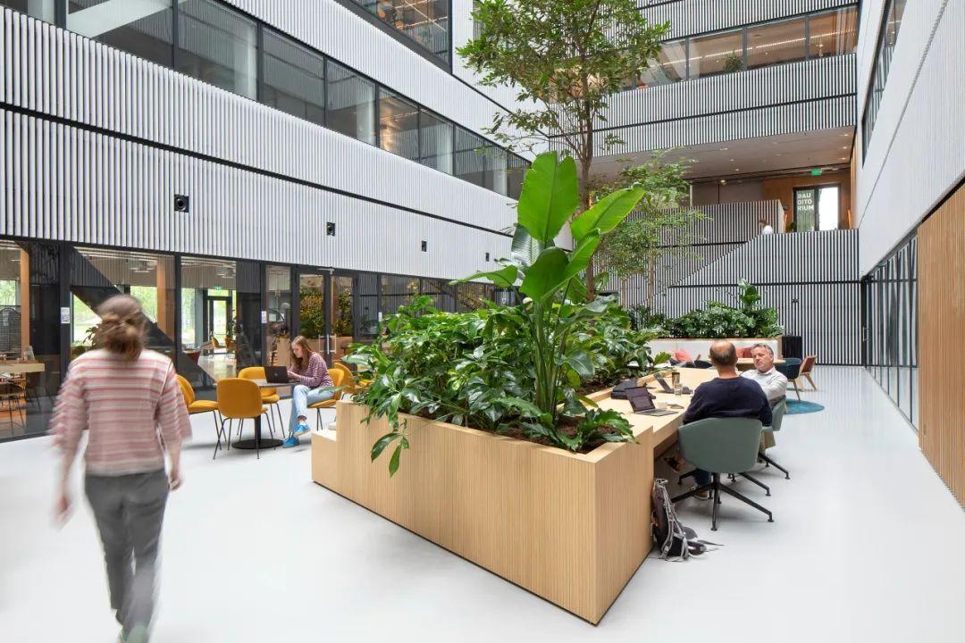 可拆卸的建筑 I MVRDV完成阿姆斯特丹「矩阵一号」办公实验大楼