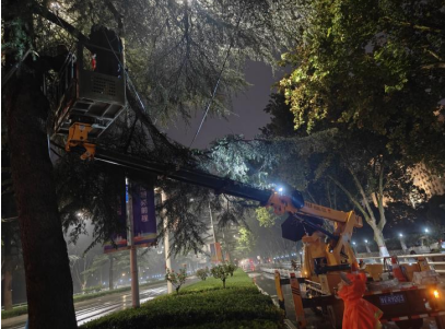 河南郑州：加固高危树木 筑牢暴雨防汛安全防线