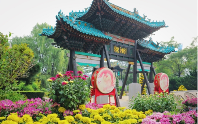 沈阳植物园第25届菊花文化周启幕