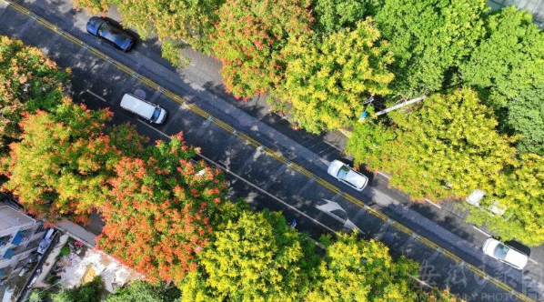 安徽：下足“绣花”功夫 改善人居环境