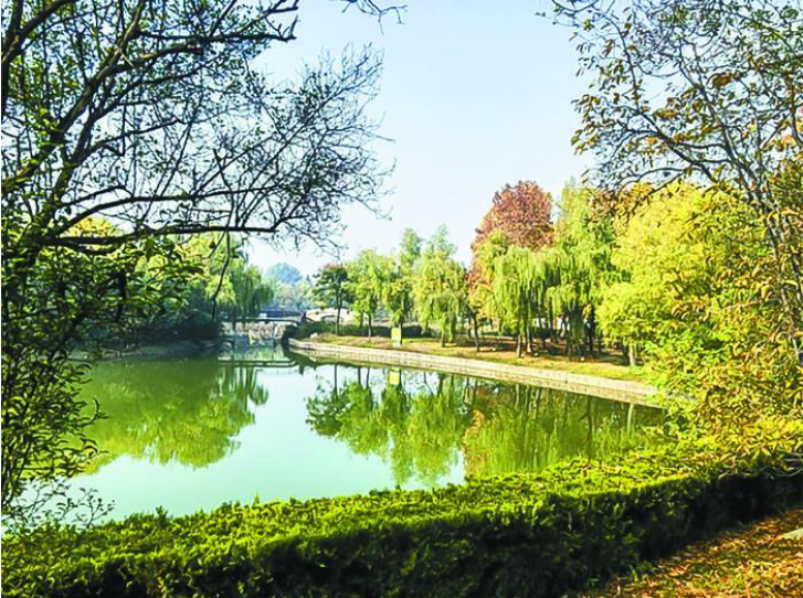 让更多绿色科技助力城市更新