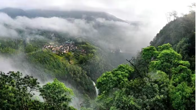 龙泉市：从“留下来”到“富起来”，探索传统村落“振兴密码”