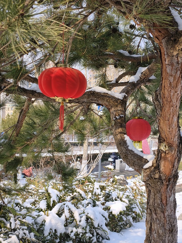 郑州城管：用“绣花功夫”绣“年味” 