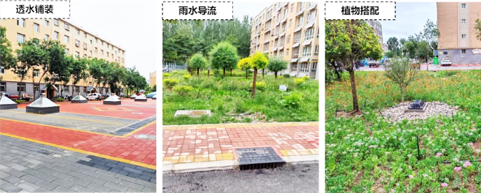 吴忠：全域谋划、科学分析，探索西北半干旱地区源头减排的多元模式